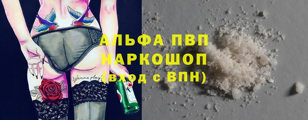 ПСИЛОЦИБИНОВЫЕ ГРИБЫ Волосово