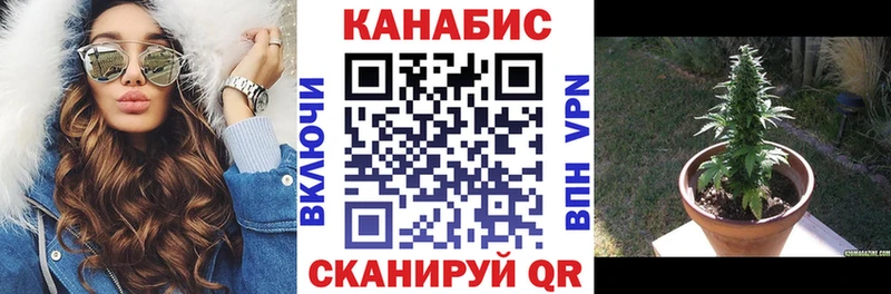 магазин  наркотиков  Чистополь  Шишки марихуана гибрид 